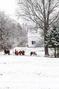 Bergvärme.nu Sverige Offert